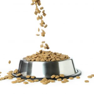 pet-bowl-with-feed-isolated-white-background