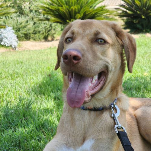 IMG-20220914-WA0049(1)