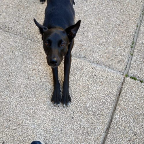 IMG-20220919-WA0023(1)