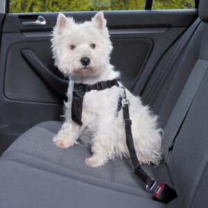רצועה לכלב לחיבור ברכב